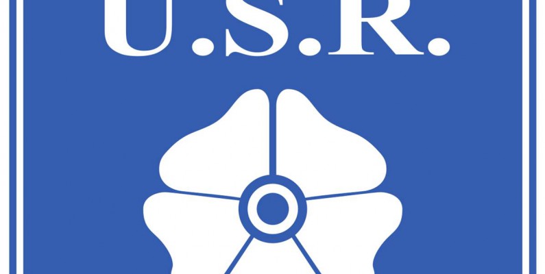 Logo Raon